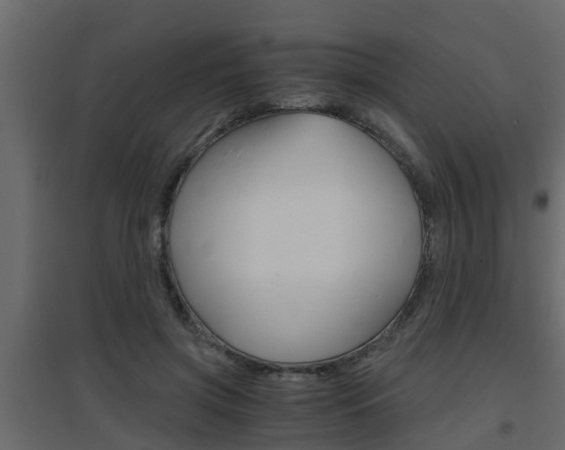 X0000094970549200711291140