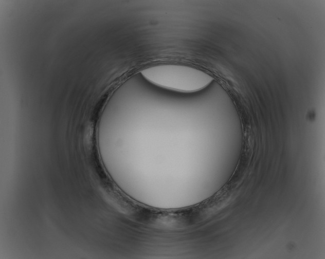 X0000094970550200711291140