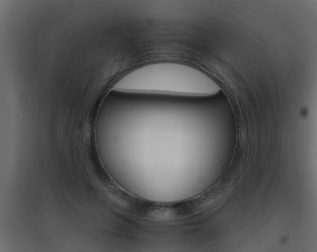 X0000094970551200711291140
