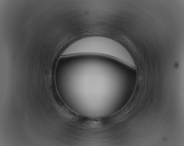 X0000094970552200711291140