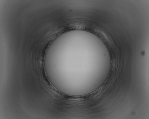 X0000094970553200711291140