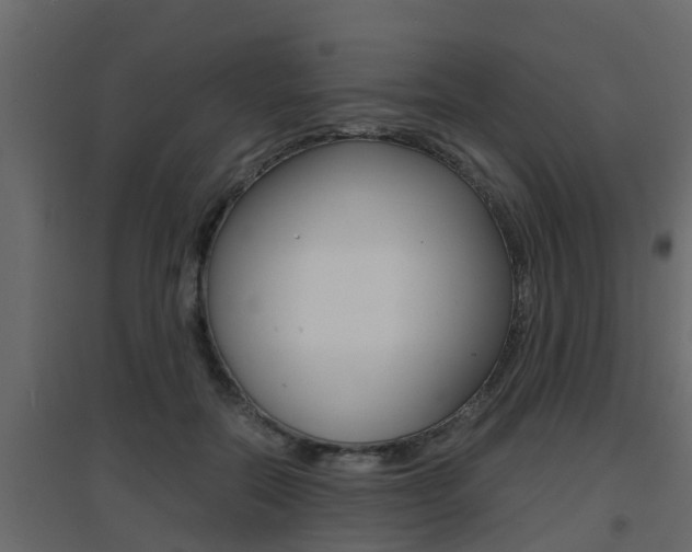 X0000094970554200711291140