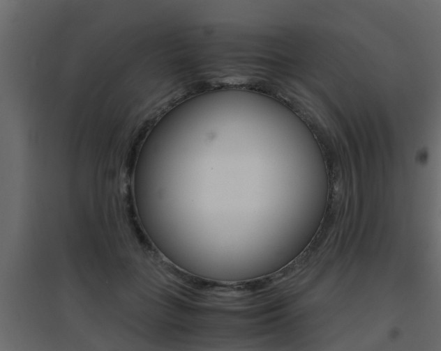 X0000094970555200711291140
