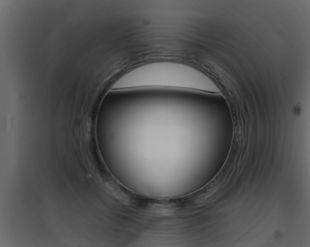 X0000094970556200711291140