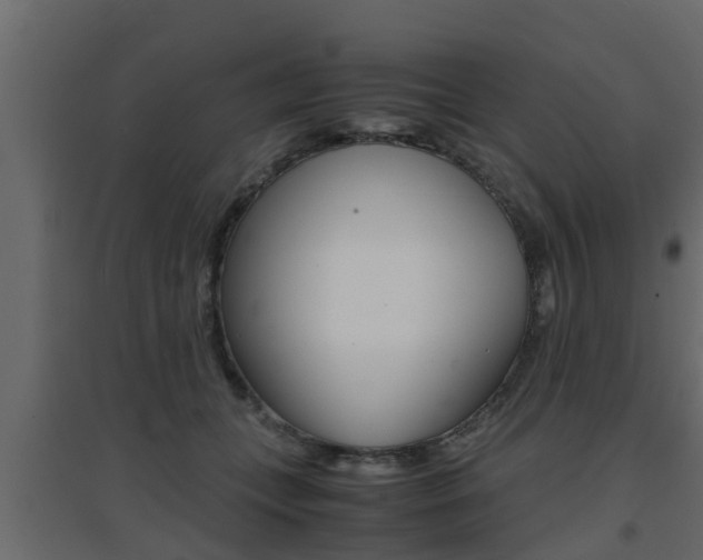 X0000094970559200711291140
