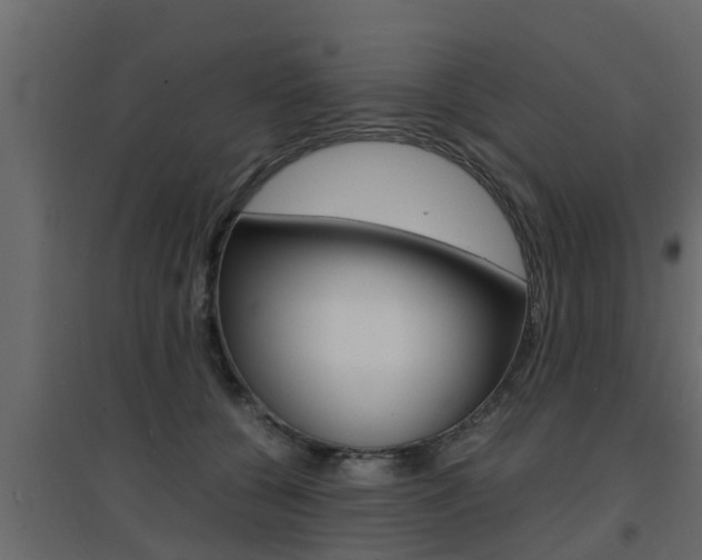 X0000094970560200711291140