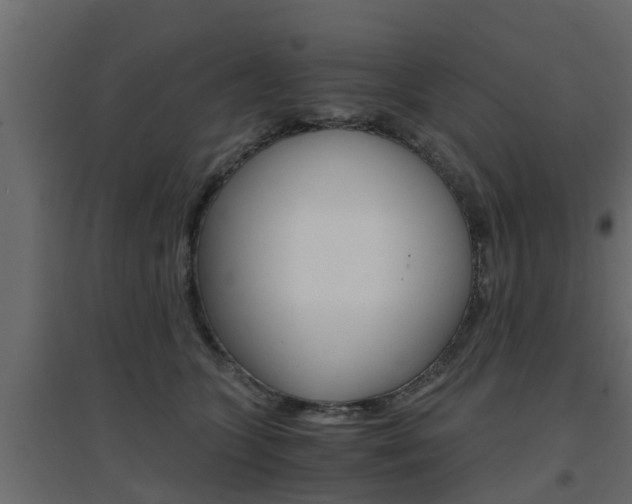 X0000094970563200711291140
