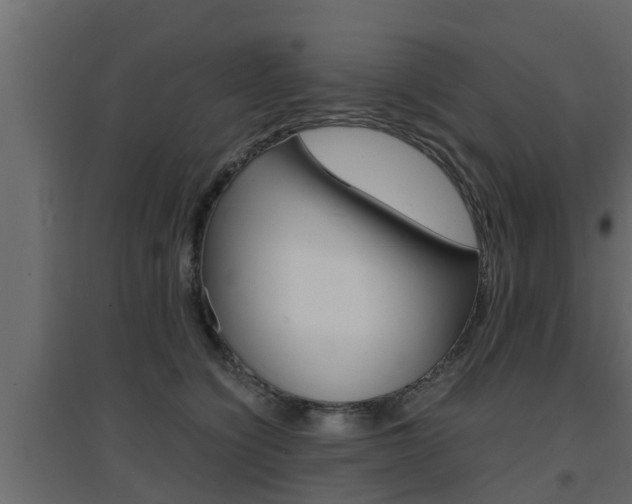 X0000094970564200711291140