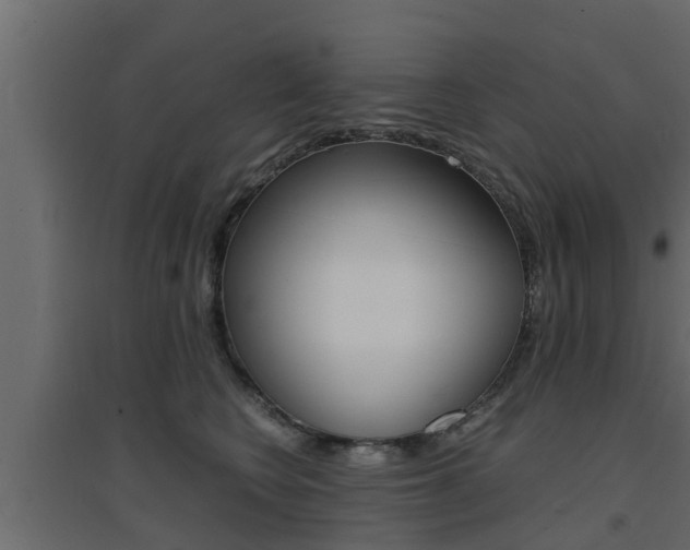 X0000094970566200711291140