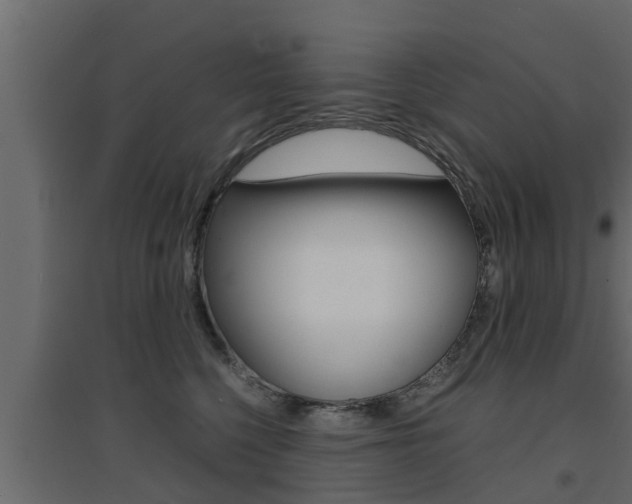 X0000094970568200711291140