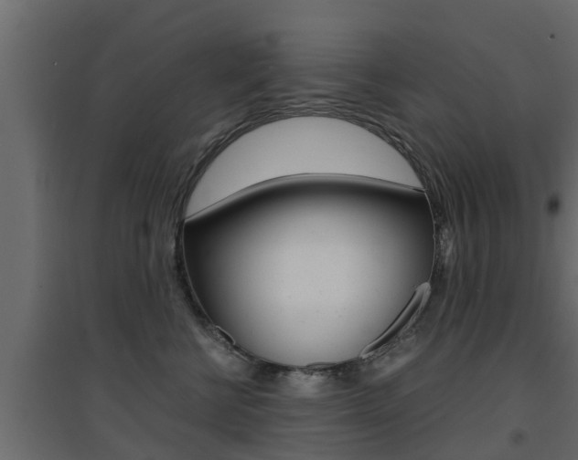 X0000094970570200711291141
