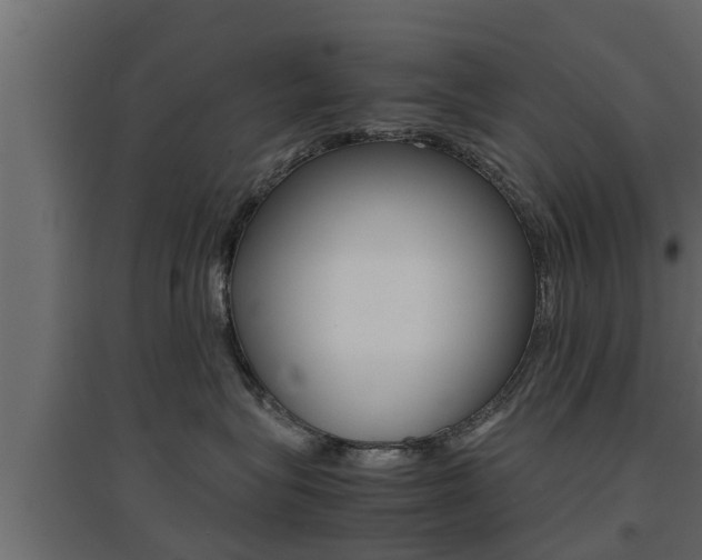 X0000094970575200711291141