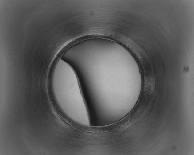 X0000094970580200711291140