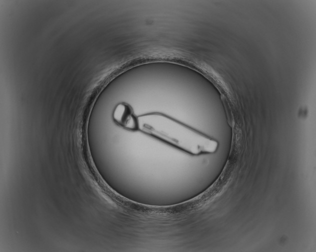 X0000094970581200711291140