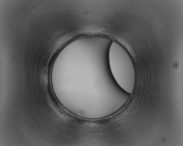 X0000094970582200711291140