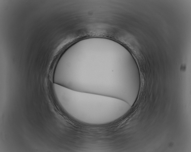 X0000094970583200711291140