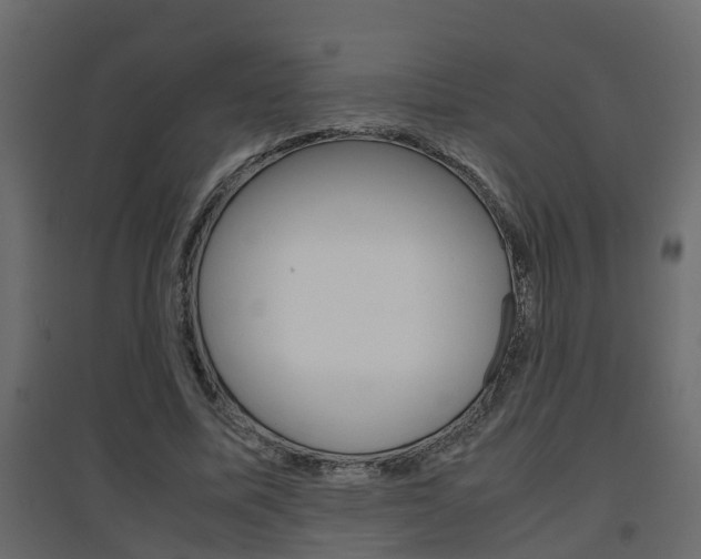 X0000094970587200711291140