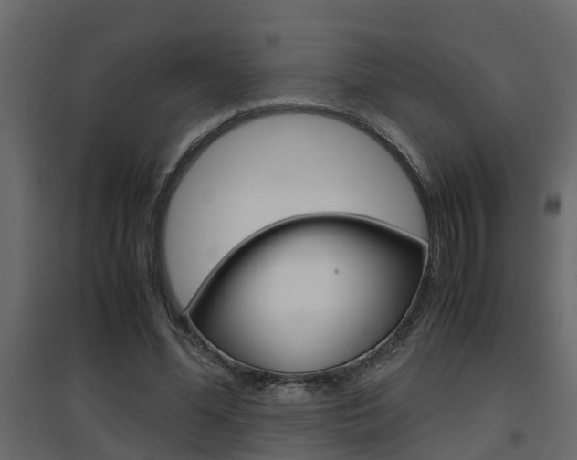X0000094970588200711291140