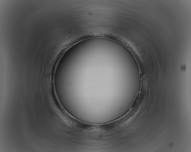 X0000094970589200711291140