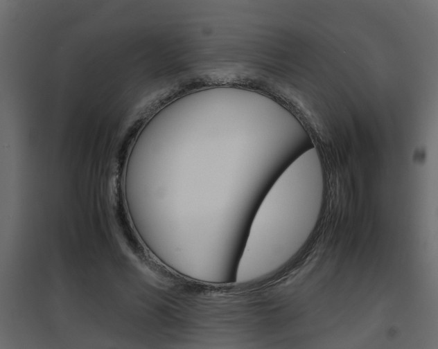 X0000094970590200711291140
