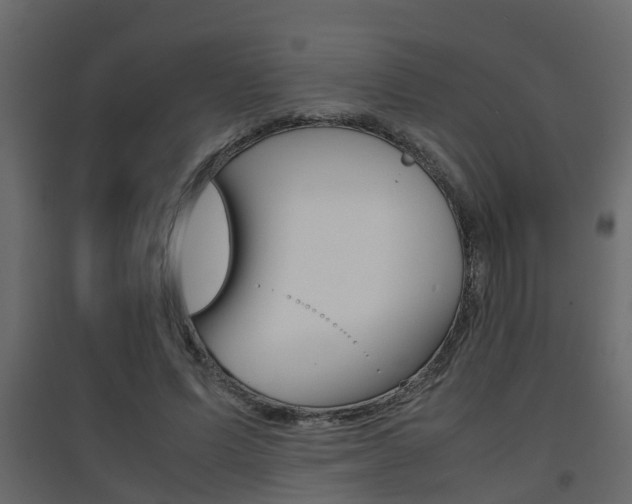 X0000094970591200711291140