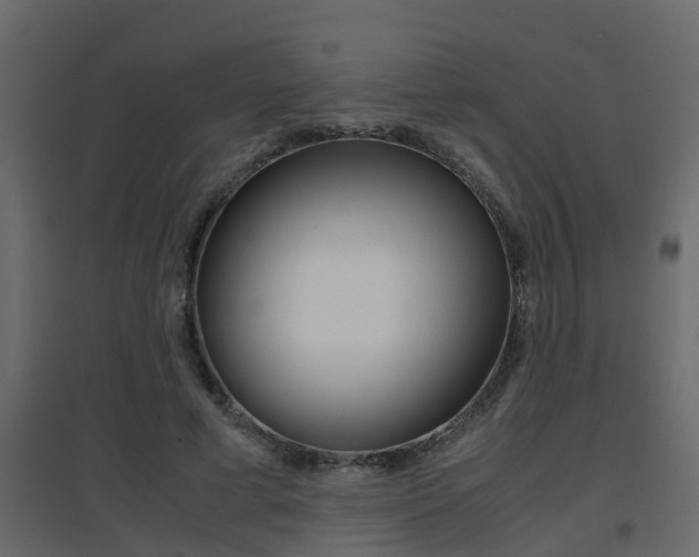 X0000094970593200711291140