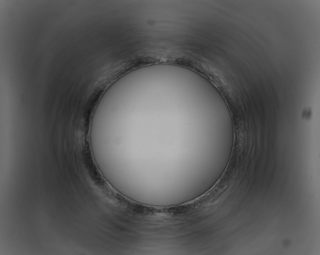 X0000094970594200711291140