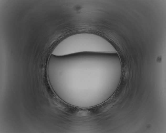X0000094970595200711291140