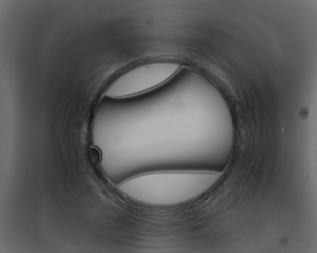 X0000094970596200711291140
