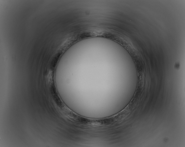X0000094970598200711291140