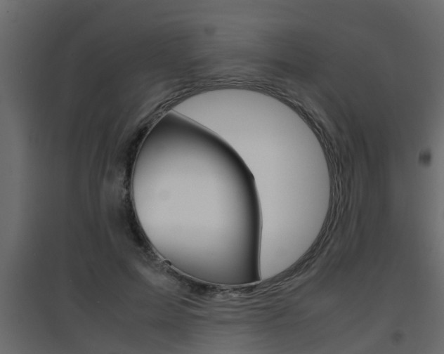 X0000094970599200711291140