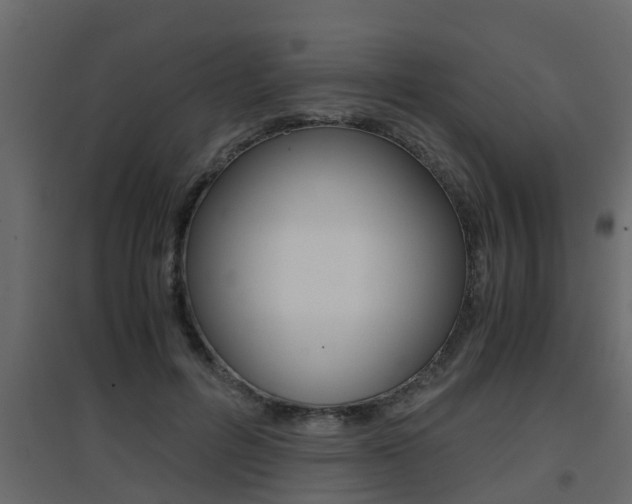 X0000094970600200711291140