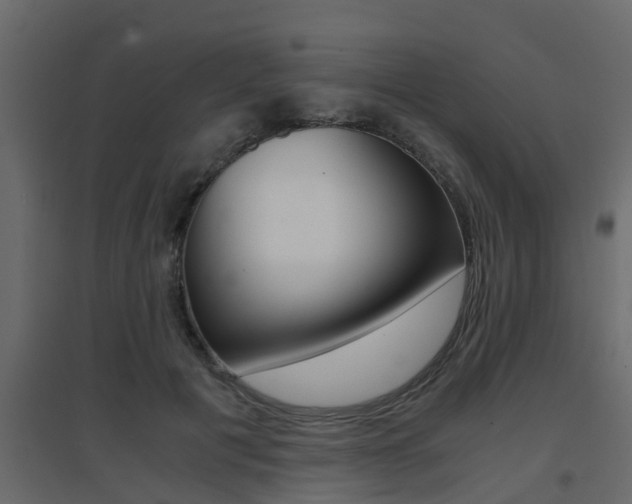 X0000094970601200711291140