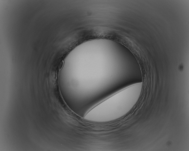 X0000094970605200711291140