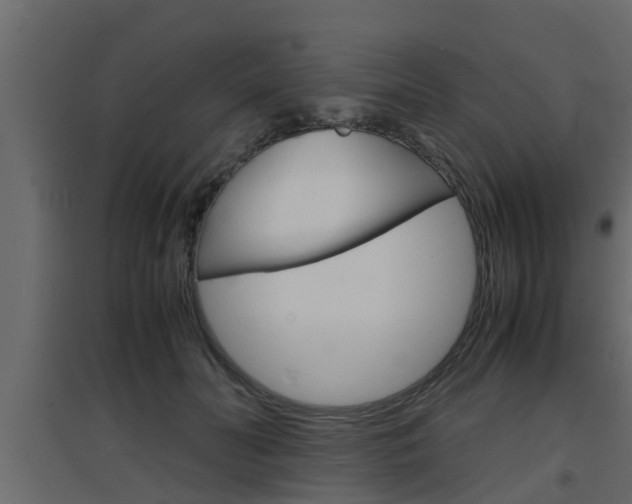 X0000094970606200711291140