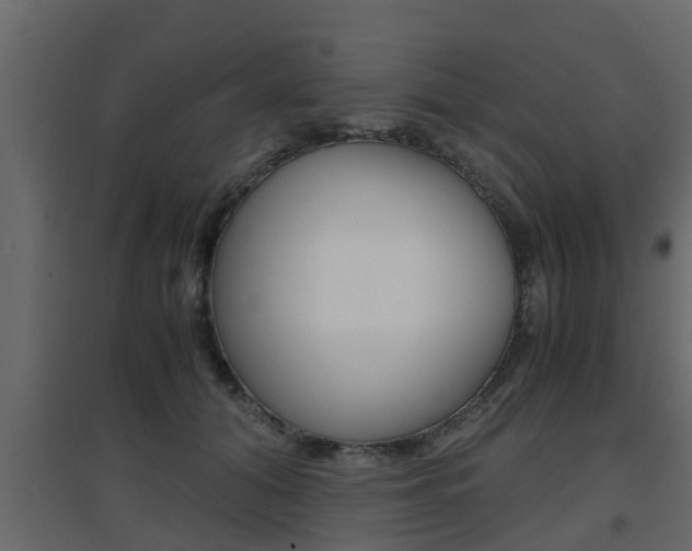 X0000094970608200711291140