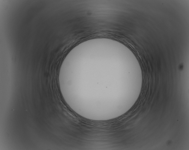 X0000094970617200711291139