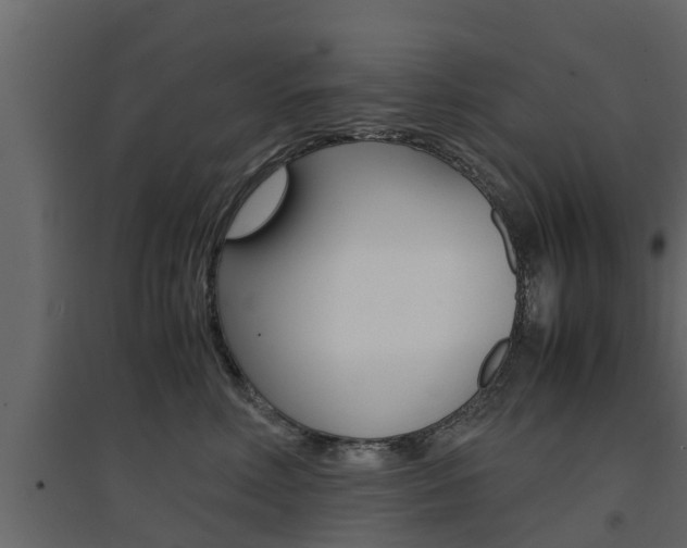X0000094970618200711291139