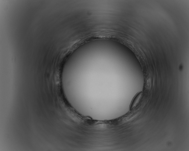 X0000094970620200711291139