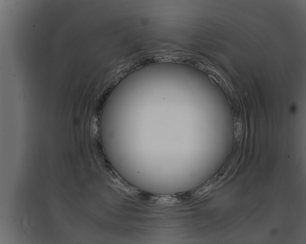 X0000094970621200711291139