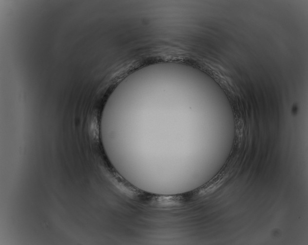X0000094970622200711291139