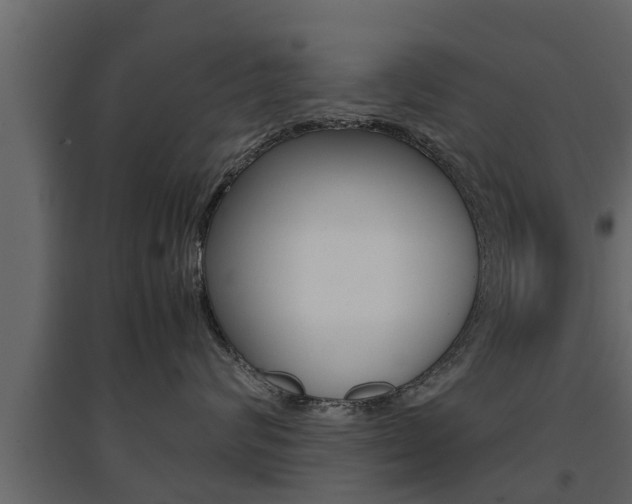 X0000094970624200711291139