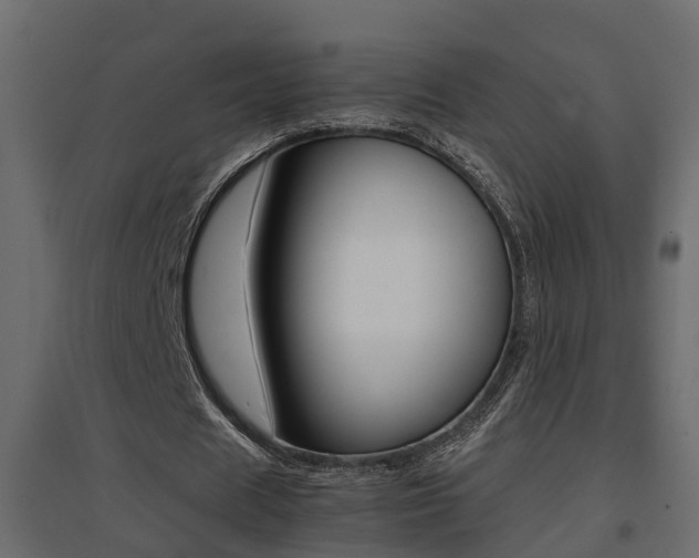 X0000094970625200711291138