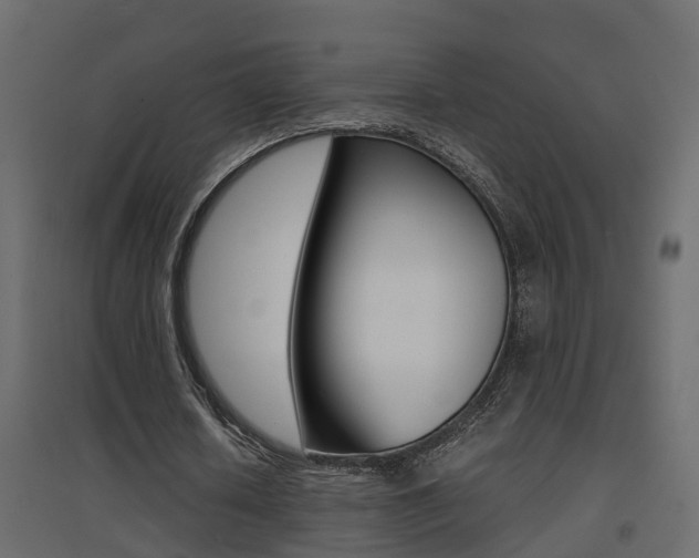 X0000094970626200711291138
