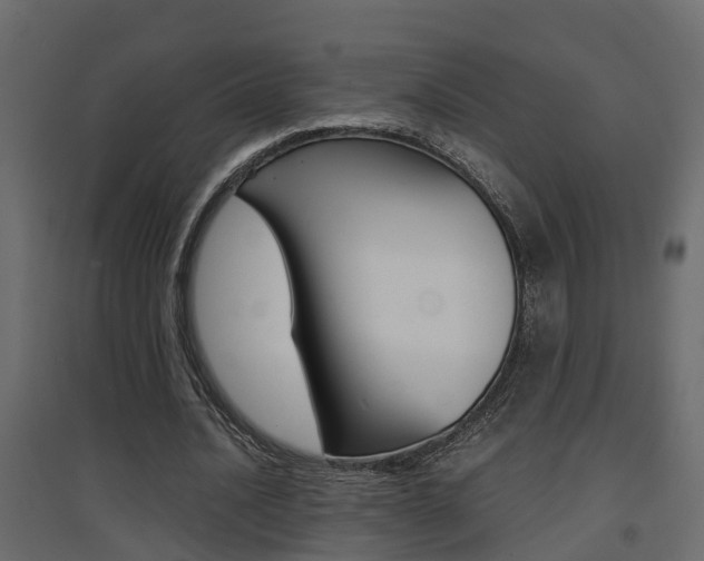 X0000094970628200711291138