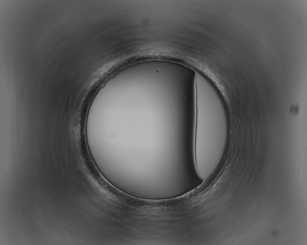 X0000094970629200711291139
