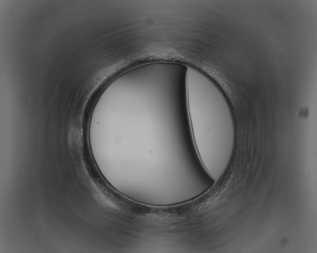 X0000094970630200711291139