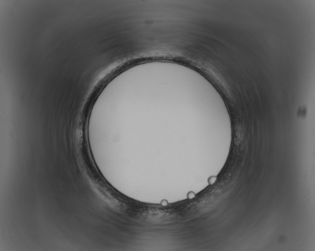 X0000094970632200711291139