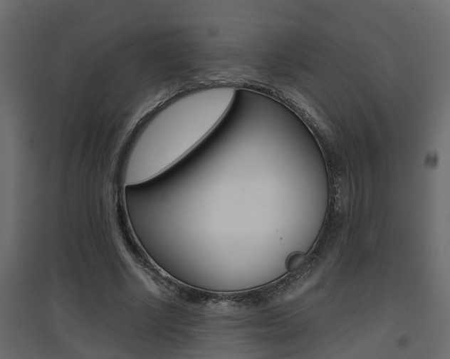X0000094970634200711291139