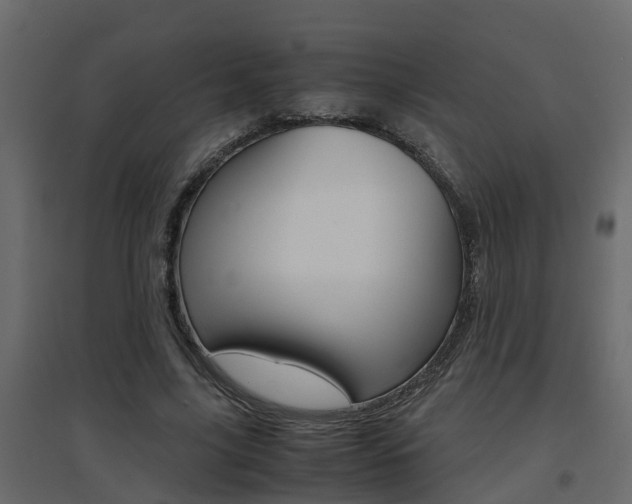 X0000094970635200711291139